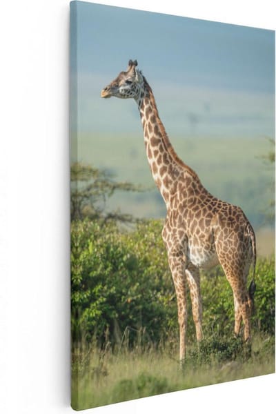 Artaza Canvas Schilderij Giraffe - 20x30 cm - Klein - Wanddecoratie Afrikaanse Savanne - Muurdecoratie Jungle - Kamer Accessoires Dieren