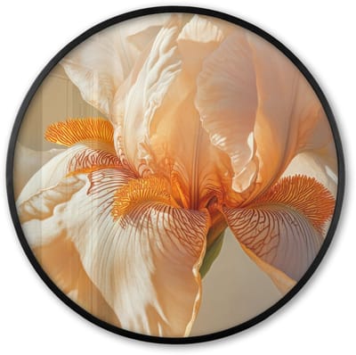 Poster in lijst Rond - Fotolijst 60x60 cm - Posters - Close up - Oranje - Iris - Ronde posterlijst zwart - Decoratie - Wanddecoratie woonkamer - Muurdecoratie slaapkamer