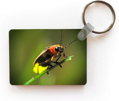 Sleutelhanger - Vuurvliegje op een grasstengel - Uitdeelcadeautjes - Plastic