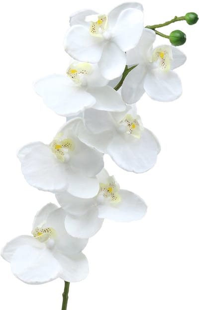 Kunst orchidee kunstbloem wit Ø6,5-8cm 77cm