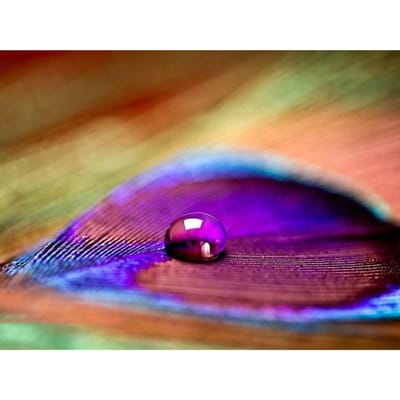5D DIY diamant schilderij hartvormige veer diamant borduurwerk mozaïek kruissteek strass decor 20X30CM beige