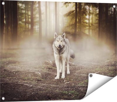 Gards Tuinposter Grijze Wolf in het Bos - 80x60 cm - Tuindoek - Tuindecoratie - Wanddecoratie buiten - Tuinschilderij