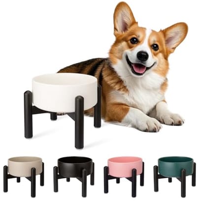 Verhoogde keramische hondenbak voor kleine tot middelgrote honden - 16 inch - 2 kopjes (850 ml) - wit