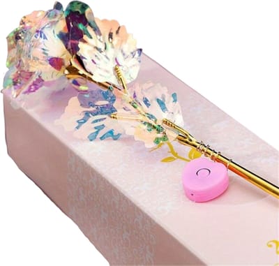 Bovista Gouden Roos 24k - Valentijn Cadeautje Voor Haar & Hem - Cadeautje Vrouw - Goud