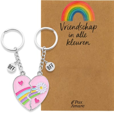 BFF Sleutelhanger voor 2 'Vriendschap in alle kleuren' - Roze Hartje met Bloem - Sleutelhanger set op Cadeau Kaartje - Zilverkleurig - Vriendschap Symbool - Pax Amare