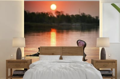 Behang - Fotobehang Zon - Water - Nijlpaard - Breedte 350 cm x hoogte 350 cm