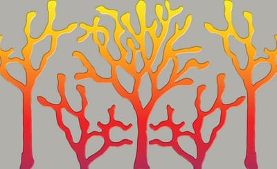 Poster | Geel , Rood | 104 x 70,5 cm