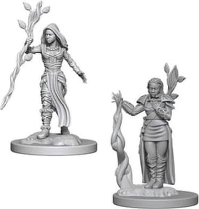 D&D Miniatures Human Female Druid