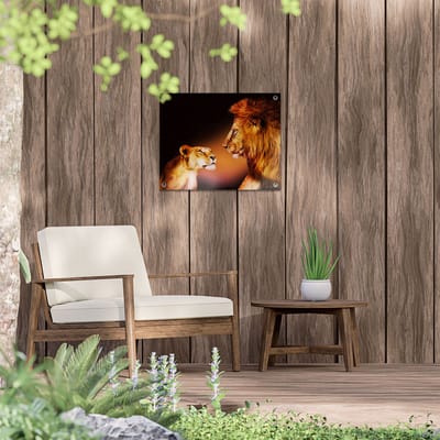 Gards Tuinposter Leeuw en Leeuwin - Kleur - 50x40 cm - Tuindoek - Tuindecoratie - Wanddecoratie buiten - Tuinschilderij