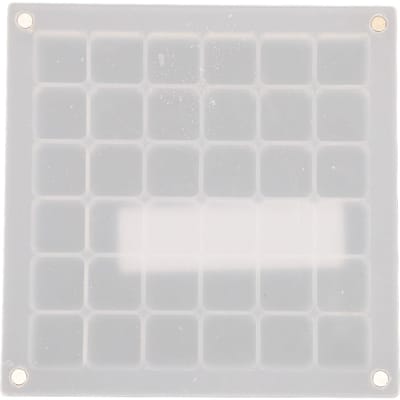 Magnetische Schelpen Displaydoos Helder Acryl Schelpenverzameling Opbergdoos voor Stenen Snuisterijen white