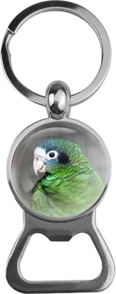 Bieropener Glas - Vogel