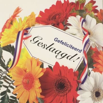 6 Luxe Geslaagd Wenskaarten - Kaart Wens Kaart Examen Geslaagd School Studie Opleiding - Gefeliciteerd Diploma - Bloem Bloemen Planten - 13.5x12cm - Rood Wit Blauwe Envelop - Art of Cards - Gratis Verzonden - Hoge Afnamekortingen