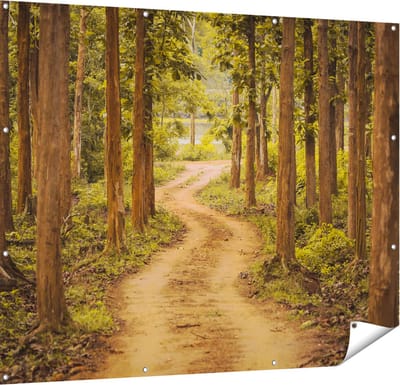 Gards Tuinposter Pad in het Bos met Bomen - 150x120 cm - Tuindoek - Tuindecoratie - Wanddecoratie buiten - Tuinschilderij