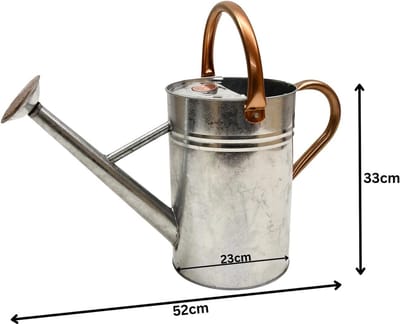 Metalen Gieter - Waterkan Tuin - Planten Water Geven - Inclusief Sproeiroos - 9 Liter - Staal