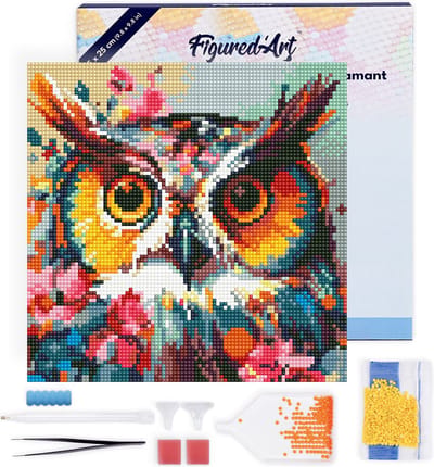 Figured'Art Diamond Painting set - 25x25 cm Art voor volwassenen met lijst