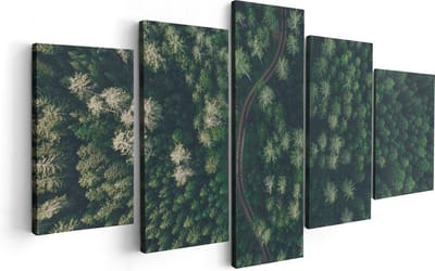 Artaza Canvas Schilderij Vijfluik Weg Door Bos Met Bomen - Bovenaanzicht - 100x50 - Foto Op Canvas - Canvas Print