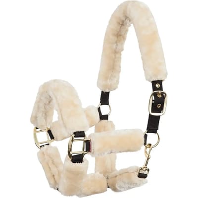 Premiere Halster Bont met Velcro pony | goud | Halstertouw paard