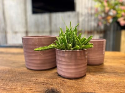 Glanzend Oud Roze Pot Berlin D17 x D15
