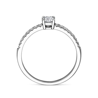 Gerhodineerd Zilver Ring Met Zirkonia 1338789