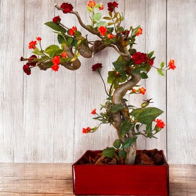 Seta Fiori - Luxe kunst bonsai in originele rode lak schaal - rode roosjes - 30cm