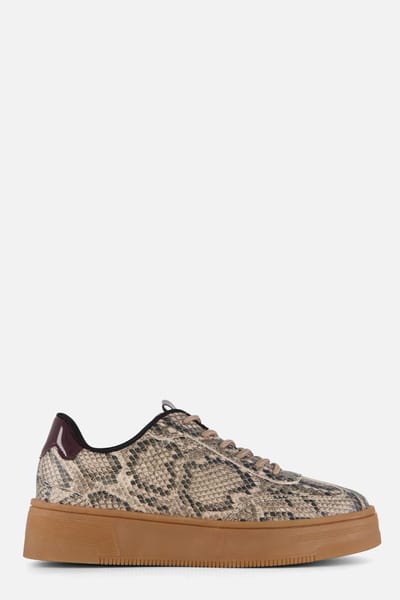 Cellini Snake Sneakers beige Synthetisch - Maat 39