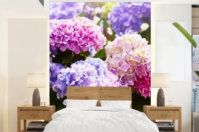 Behang - Fotobehang Bloemen - Hortensia - Roze - Bladeren - Zon - Breedte 205 cm x hoogte 280 cm