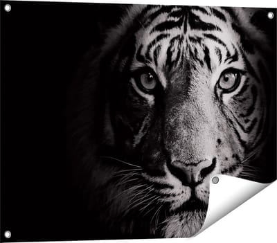 Gards Tuinposter Tijgerkop - Tijger - Zwart Wit - 80x60 cm - Tuindoek - Tuindecoratie - Wanddecoratie buiten - Tuinschilderij