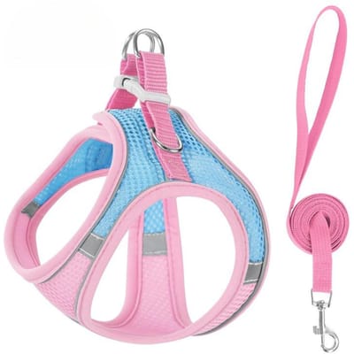 Katten Harnas Vest Borsttouw Set Met 1.5M Touw Reflecterend Ademend Verstelbaar Huisdier Harnas Voor Kleine Middelgrote Hond Buiten Wandelen (as the picture,XS 3.5-4.5kg)