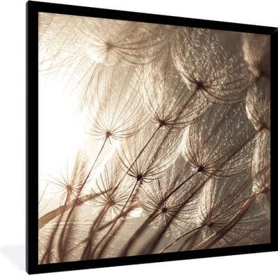 Fotolijst incl. Poster - Bloemen - Planten - Winter - Sepia - Sneeuw - 40x40 cm - Posterlijst
