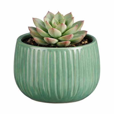 Mica Decorations Plantenpot - keramiek - groen glans / ribbels - D14 x H12 cm - bloempot Pablo