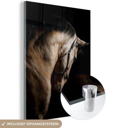 MuchoWow® Glasschilderij 120x160 cm - Schilderij acrylglas - Paarden - Halster - Zwart - Foto op glas - Schilderijen