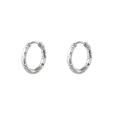 Oorbellen van roestvrij staal - Yehwang - Oorringen - One size - Zilver