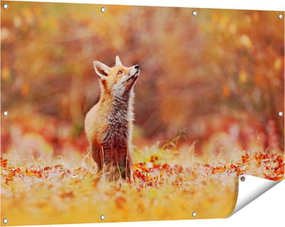 Gards Tuinposter Vos in het Bos tussen de Bladeren - 120x80 cm - Tuindoek - Tuindecoratie - Wanddecoratie buiten - Tuinschilderij