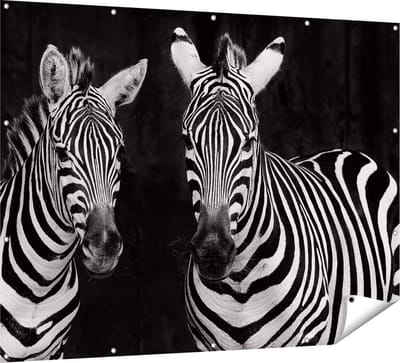 Gards Tuinposter Twee Zebra's - Zwart Wit - 160x120 cm - Tuindoek - Tuindecoratie - Wanddecoratie buiten - Tuinschilderij