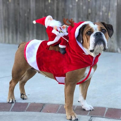 Kleine grote honden Kerstman Cosplay-outfit voor Kerstmis Carnaval Huisdierkostuums Kleding Feestverkleedkleding Hondenkostuums S red