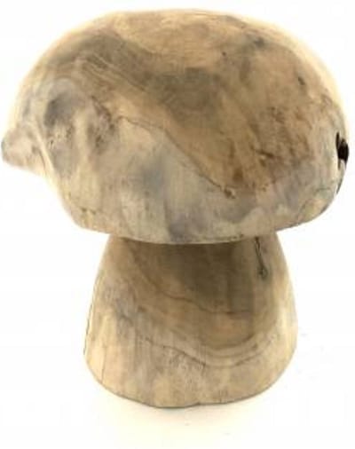 Mushroom low teak 20cm