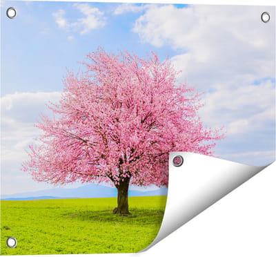 Gards Tuinposter Roze Sakura Bloesem Boom in het Groene Veld - 50x40 cm - Tuindoek - Tuindecoratie - Wanddecoratie buiten - Tuinschilderij