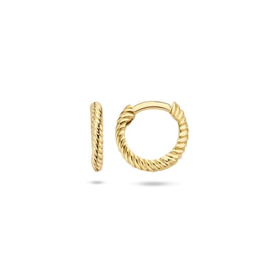 7231YGO Oorbellen oorringen 14 krt Goud