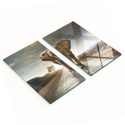 Multifunctionele decoratieve keukenplanken van gehard glas in de vorm van een olifant, 2x30x52 cm