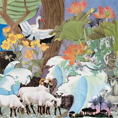 Light Beams - Wild Life (LP)