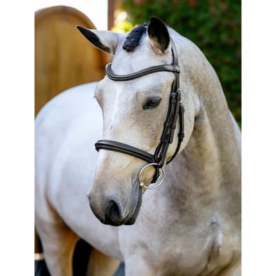 Bridons ruiter voor paard met neusriem LeMieux
