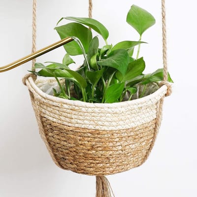 Famanu – Hangplantenmand set van 2 zeegras gevlochten met ophangkoord voor binnen en buiten