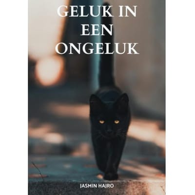 Geluk In Een Ongeluk - Jasmin Hajro