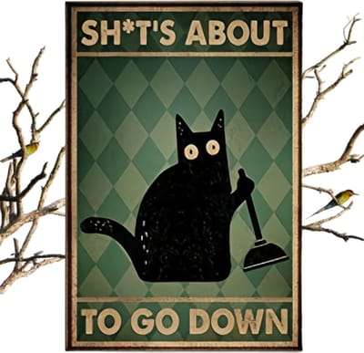 Bovista Are You Pooping Cat - Are You Pooping - Have A Nice Poop - Your Butt Napkins My Lord - Poster - Grappige Poster - 50x70cm