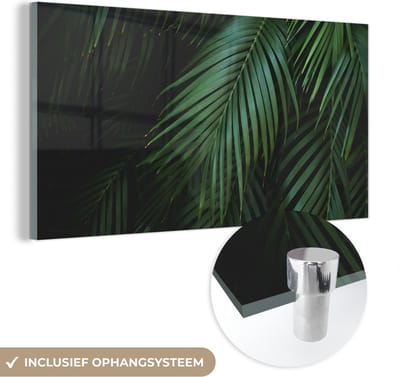MuchoWow® Glasschilderij 40x20 cm - Schilderij acrylglas - Palmbladeren - Palmen - Tropical - Foto op glas - Schilderijen