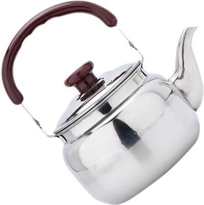 Fluitketel/ Theeketel 750 ml roestvrij staal gasfornuis - vintage theepot met handvat voor keuken wandelen - picknick camping zilver