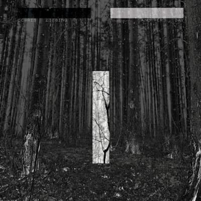 Chris Liebing - Another Day (2 LP)