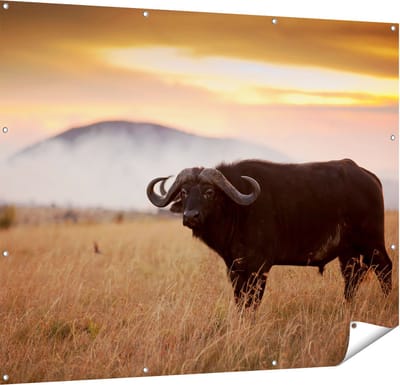 Gards Tuinposter Buffel in het Gras - 150x120 cm - Tuindoek - Tuindecoratie - Wanddecoratie buiten - Tuinschilderij