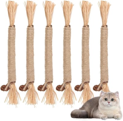 6pcs Cat Grass Sticks voor Katten - Speelgoed - Tandverzorging Sticks - Natuurlijke Katten Gras Sticks voor Tandheelkundige Zorg - Kat Accessoires
