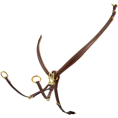 Hondenhalsband van leer met gesp Equestro